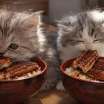 うなぎ料理 丑松 - 