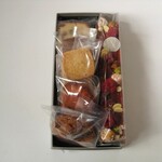 アサコ イワヤナギ プリュス - 