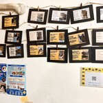 保護猫カフェ ヘミングウェイ - 保護猫ちゃんの紹介写真