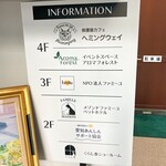 保護猫カフェ ヘミングウェイ - エレベーターで4階へ