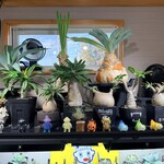 OYSTER HOUSE Grow - オーナーさんの趣味も見所！