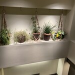 スターバックス・コーヒー 麻布十番店 - 