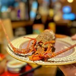 酒場ニホレモ - 
