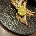 SUSUKINO いとや - 鵡川産ししゃも炙り(雄)