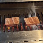 NO MEAT,NO LIFE. 6x - 