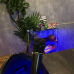 SUPER POSITIVE BAR - 