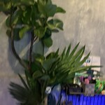 SUPER POSITIVE BAR - 