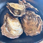 絶景露天風呂の宿 銀波荘 - 