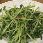 青山一丁目たぬき - 