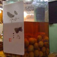 すすきの浪花亭 - 