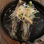 鰯屋 カタクチ - 