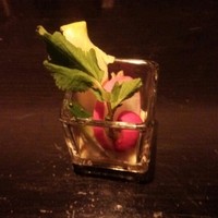 トラットリア ゴデレッチョ エビス 恵比寿 - 