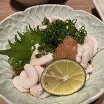 博多ほたる - 