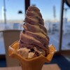 海を見ながら食べると幸せになるアイス