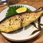 ヒロカワテーラー - 