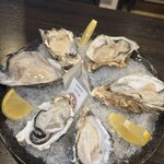 海老牡蠣酒場だるま - 