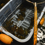 活魚水産 - オコゼ造はここから