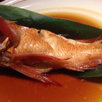 鈴松 - 金目鯛