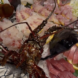 磯料理赤沢丸昌_1