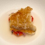 CHANFE TOKYO - 