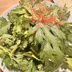 SANCYA GOOD HORUMONZ - 