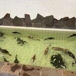 ふく処喜多川 - 料理写真: