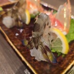 創彩和房ふじた - きゃは、美味しい(៸៸᳐><៸៸᳐ )੭ﾞ