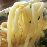 ほくほく庵 - 麺 (2015.01)