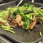 プルトゥンヌンテジ - 