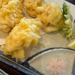 こつこつ - 白子天