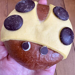 Coccinelle - 