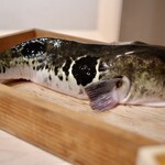 日本料理 みや  - 