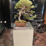 赤身肉じゃんか中目店 - 