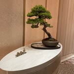 est - 和を感じるレストラン入り口