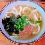 錦うどん - かけうどん