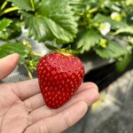 姫路ハートフル観光農園 - 