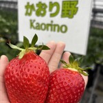 姫路ハートフル観光農園 - 