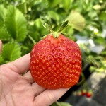 姫路ハートフル観光農園 - 