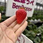 姫路ハートフル観光農園 - 