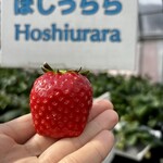 姫路ハートフル観光農園 - 