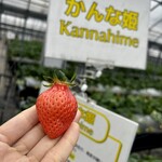 姫路ハートフル観光農園 - 