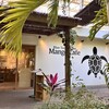 Blue Turtle Farm Mango Cafe