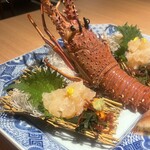 横浜中納言 日本大通り - 