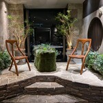 天空の庭　星のなる木 - 