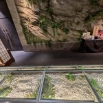 天空の庭　星のなる木 - 