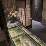 天空の庭　星のなる木 - 