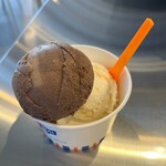 ブルーシールアイスクリーム - 料理写真:ダブル650円税込