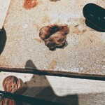 焼鳥なかむら - 