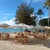 Skipper's Beach Bar   - 内観写真:
