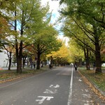 ミュージアムカフェ ぽらす - 